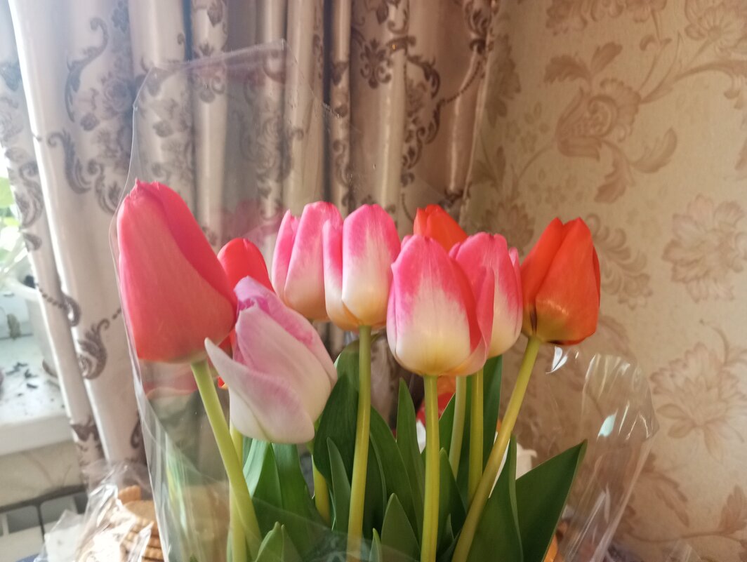 Букет тюльпанов к празднику - Елена Семигина