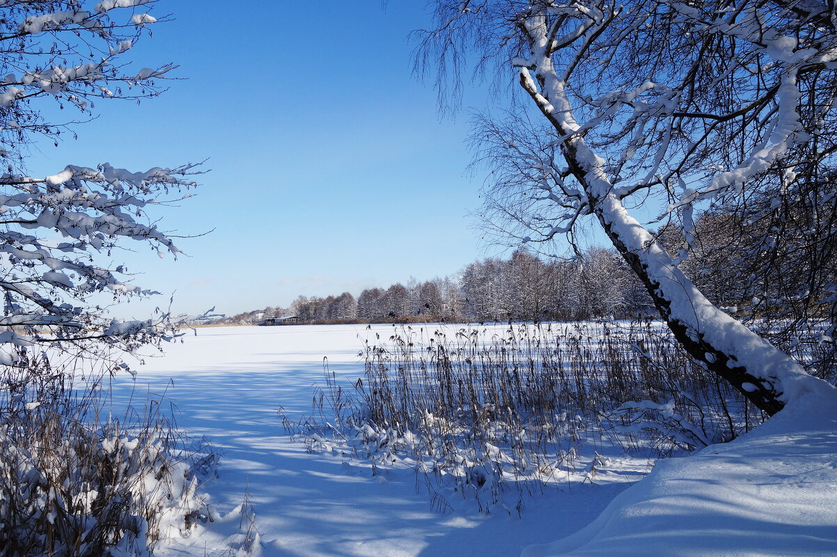 В окрестностях Калининграда - Рита Симонова