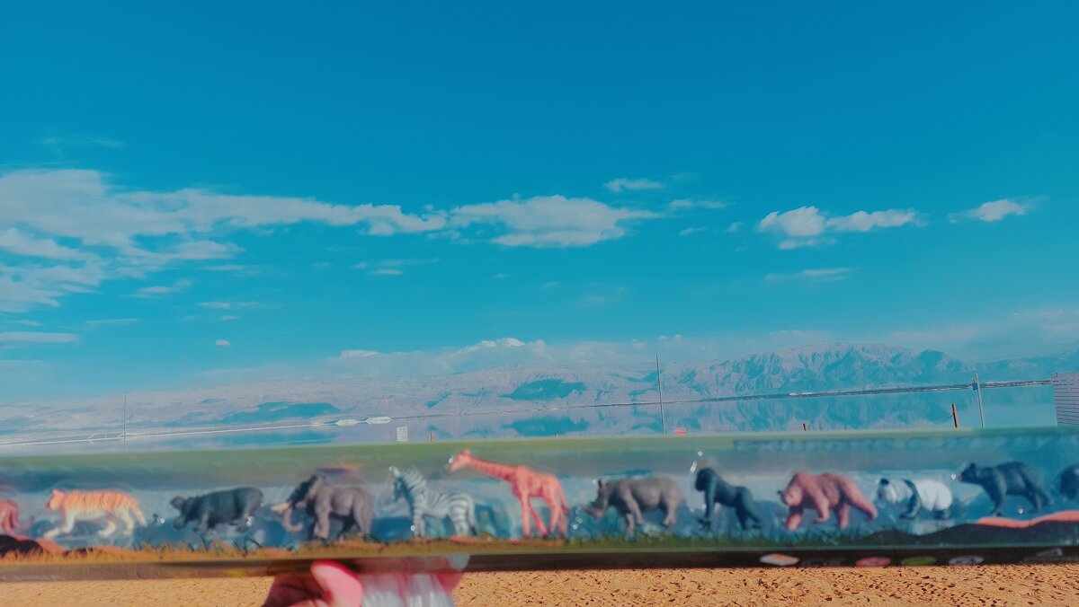 12  КЛОС (679) - CLOSE WAYS ALL