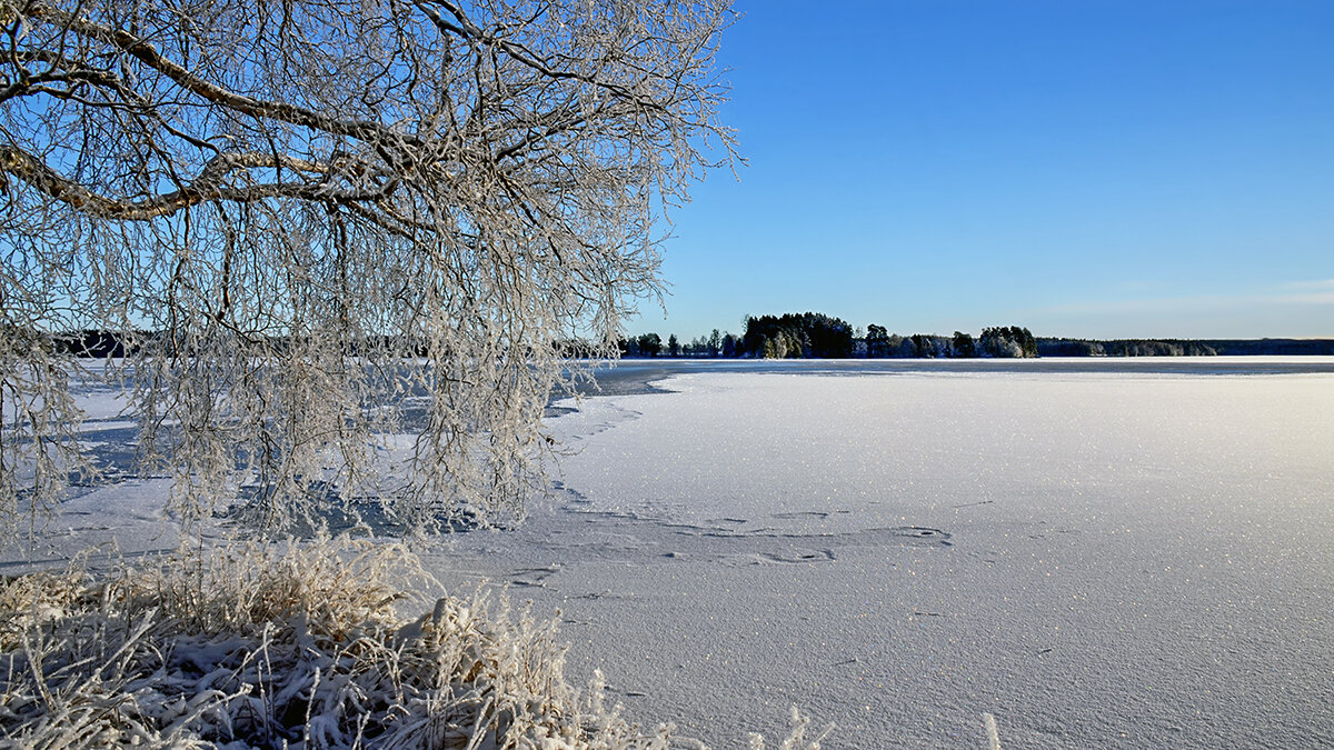 На память о прошедшей зиме - Alexandеr P