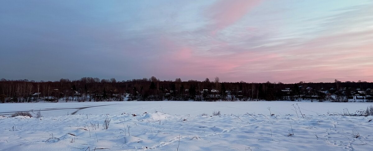 СНТ Полонка - Артем 