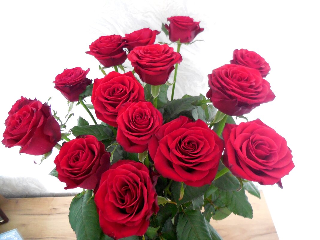 Красные розы - Надежда 