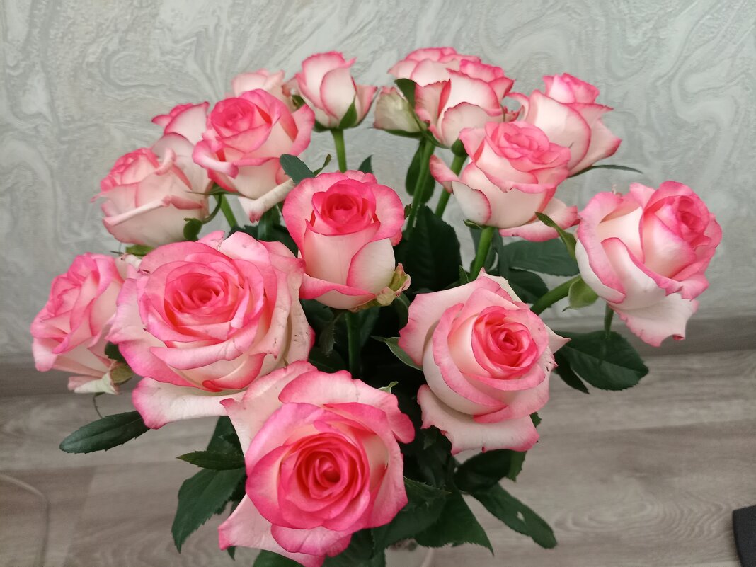 С праздником! - Надежда С праздником! - Надежда