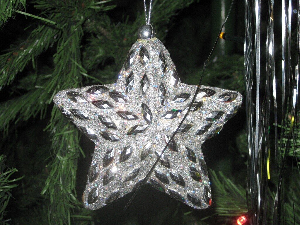 Серебряная звезда - Дмитрий Никитин