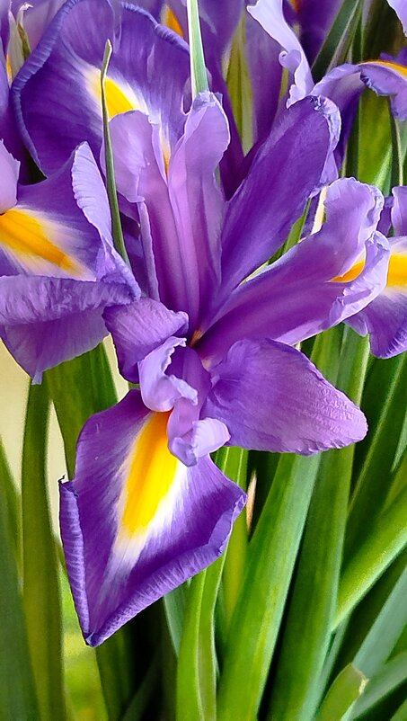 С днём рождения, меня)) - Татьяна Евдокимова С днём рождения, меня)) - Татьяна Евдокимова