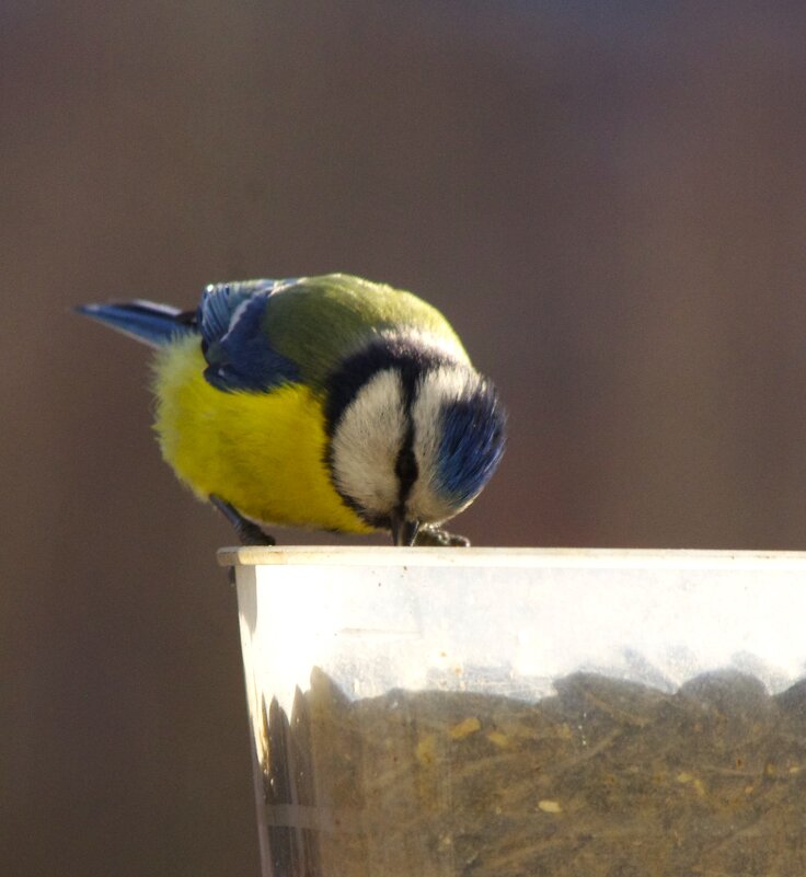 Не мешайте... пожалуйста ! - Юрий Куликов Не мешайте... пожалуйста ! - Юрий Куликов