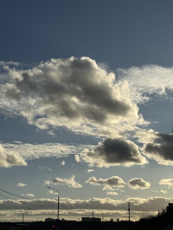 Тучи - киты - Анна Камс Тучи - киты - Анна Камс