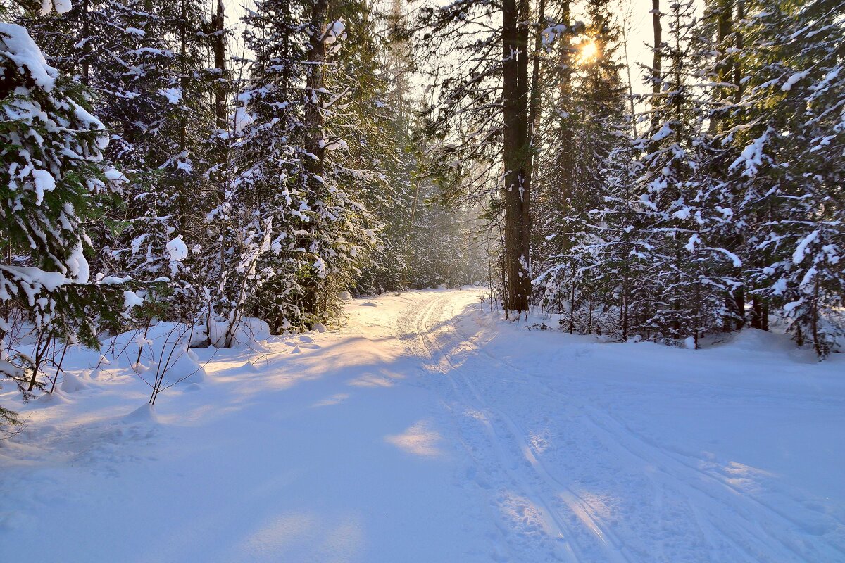- - Владимир Мигонькин