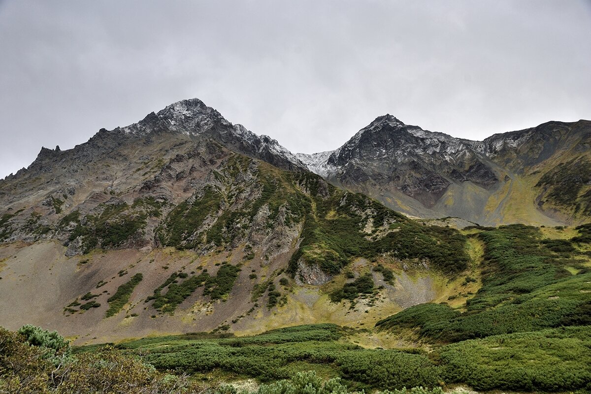 *** - Марина Виноградова