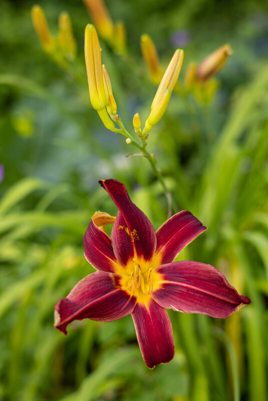 Невероятно сочная палитра природы - Анастасия Фотографовна