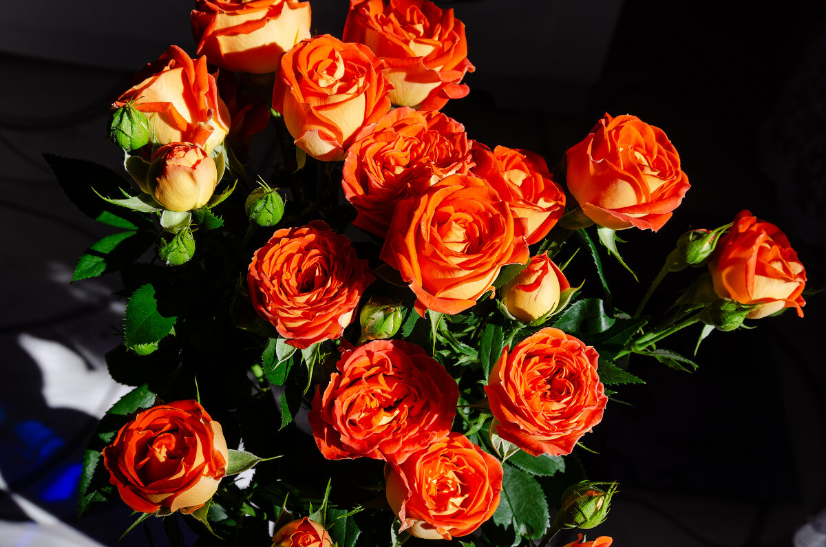 С Праздником 8 Марта, прекрасные женщины! - Виктор Иванович Чернюк