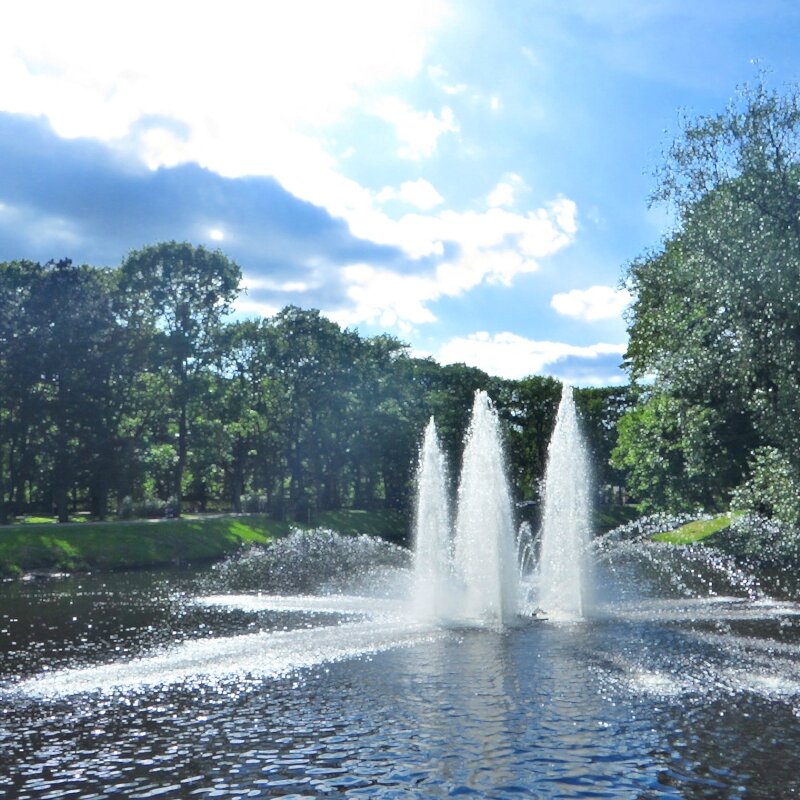 парк - марта Камушкина парк - марта Камушкина