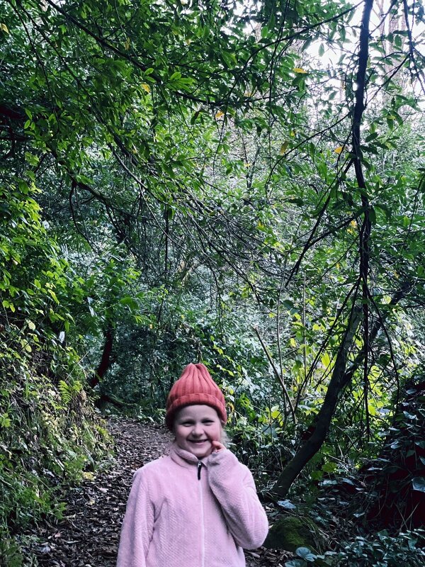 Осень в Аджарии - Георгиевич Осень в Аджарии - Георгиевич