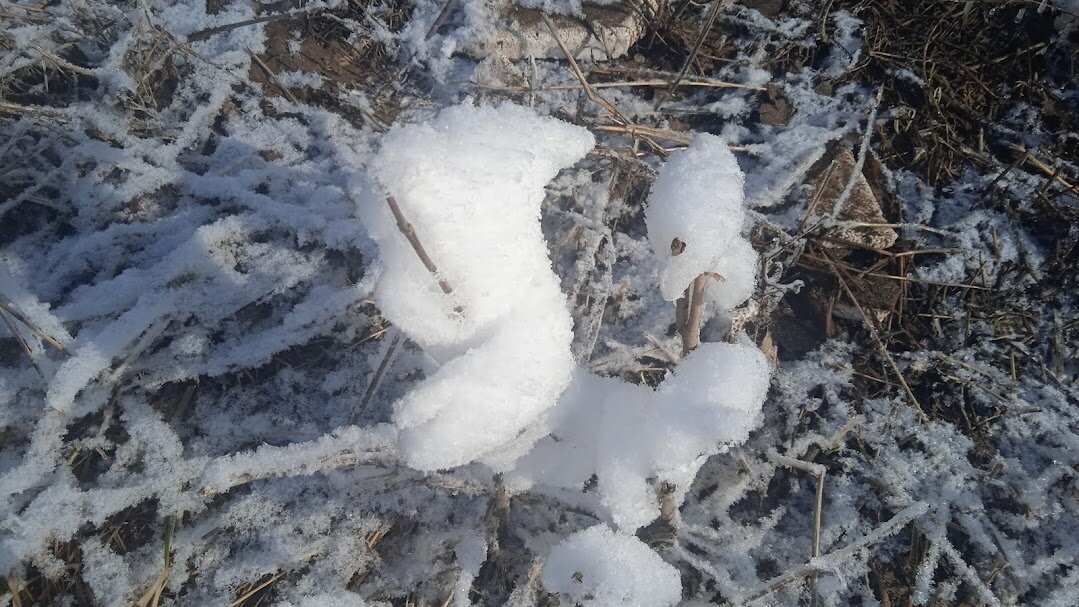 февраль - Елена Шаламова