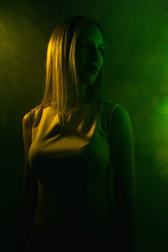 *** - Николай Чекалин