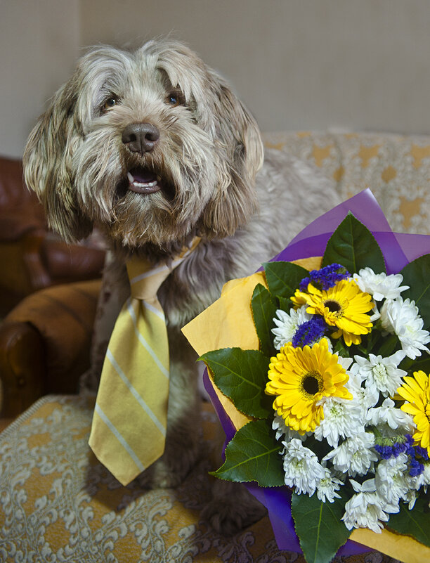 С праздником дамы и дамочки ... )) - Владимир Хиль С праздником дамы и дамочки ... )) - Владимир Хиль