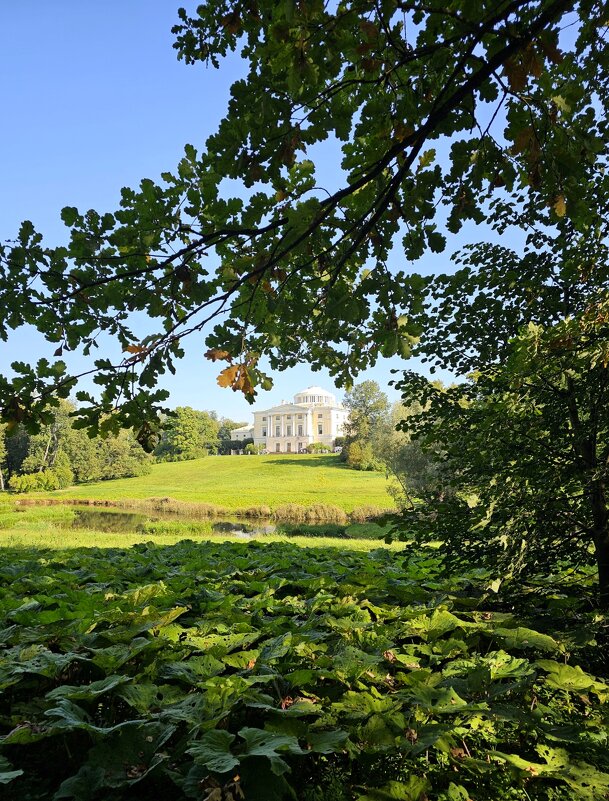 Павловский парк - Юлия Голикова