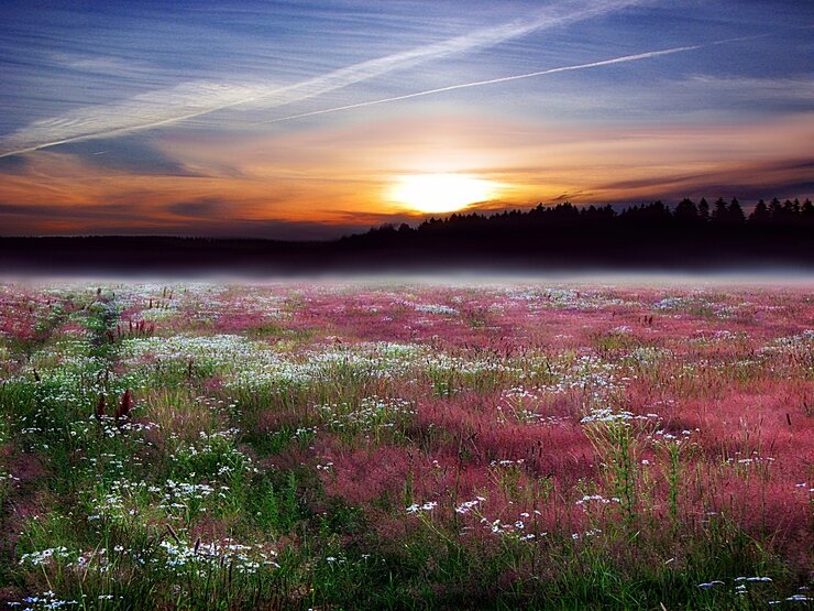 поздравляю с праздником ВЕСНЫ наших женщин - Владимир поздравляю с праздником ВЕСНЫ наших женщин - Владимир