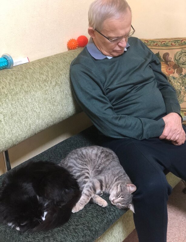 Три кота - На-та-ша 