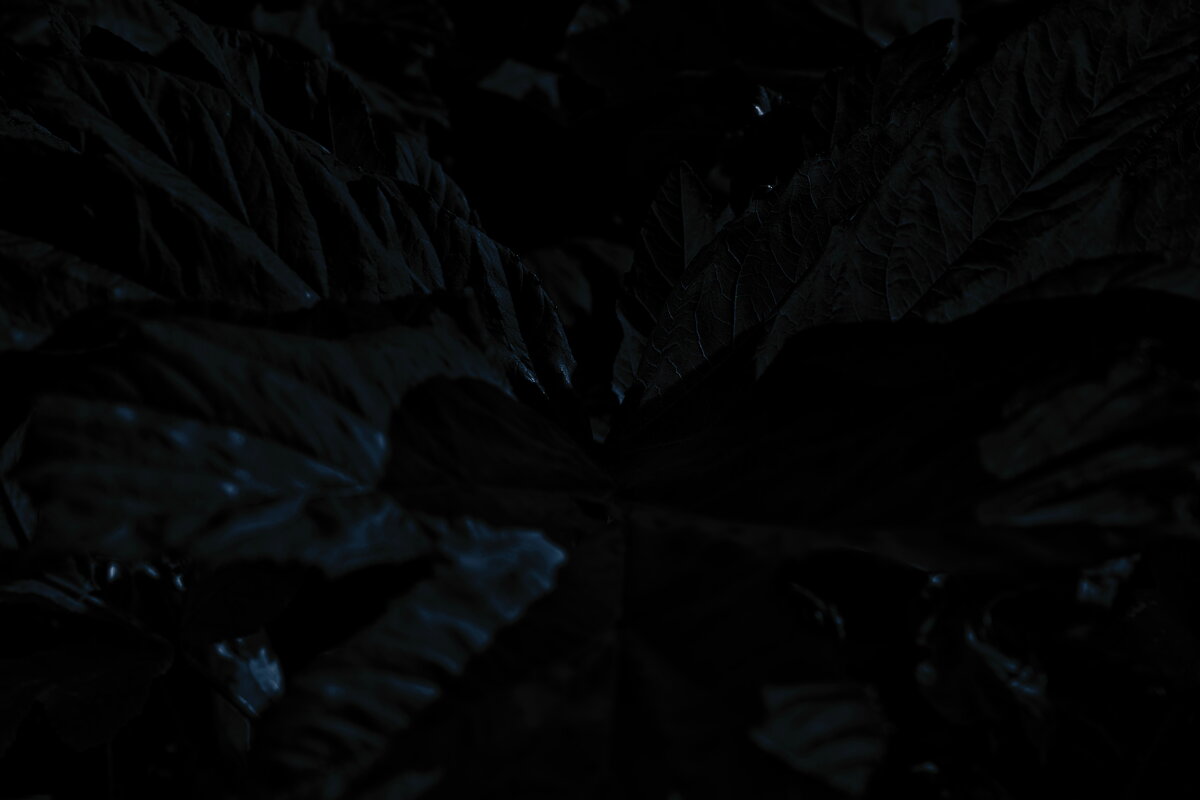 Название отсутствует - Денис Безногов Название отсутствует - Денис Безногов