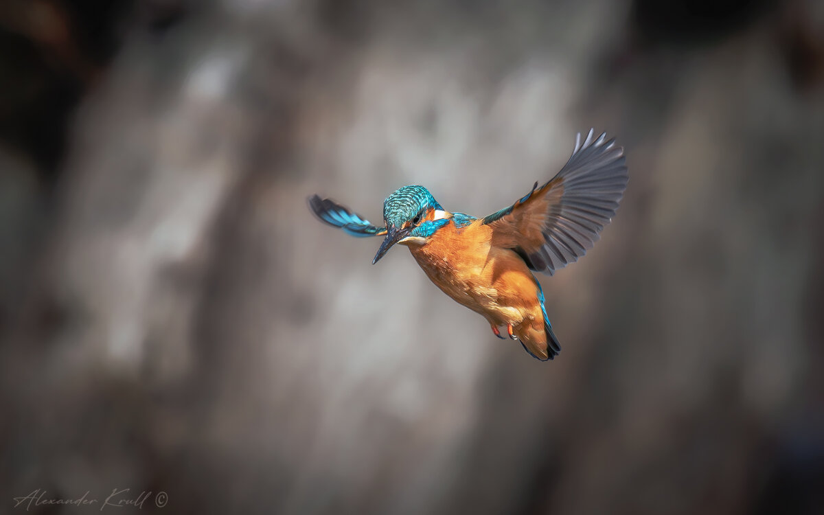 Зависание - Александр К. Зависание - Александр К.