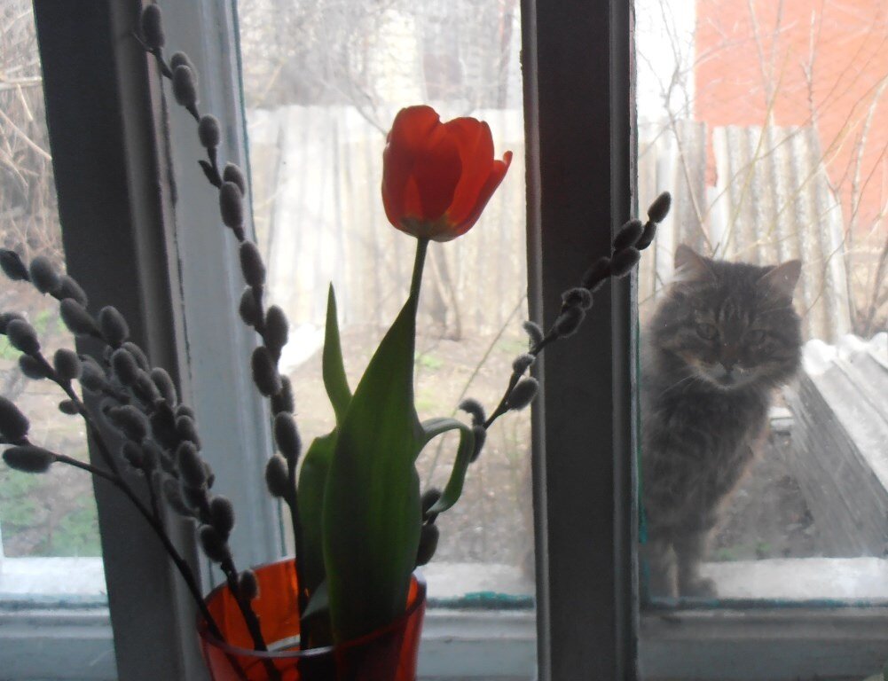 Приветливое утро :) - Наталья 