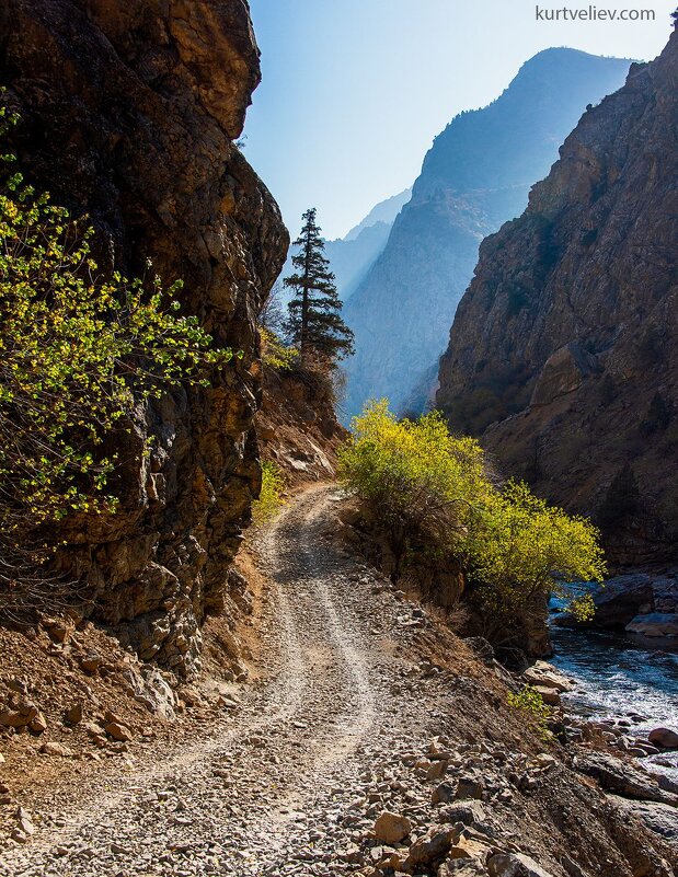 ГОРНАЯ ПРОГУЛКА. Дорога вдоль реки - Виктор Осипчук