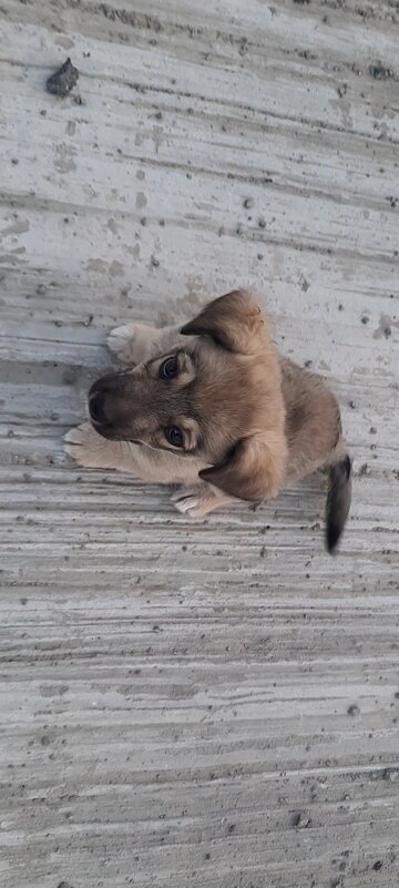 . - Сергей Асташонок