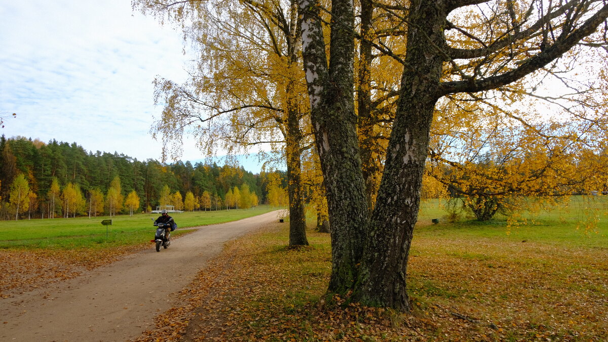 Михайловское. Золотая осень - Олег Зоркий Михайловское. Золотая осень - Олег Зоркий