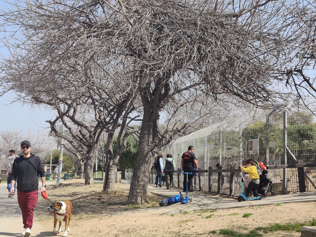 Минизоопарак у реки. - Светлана Хращевская