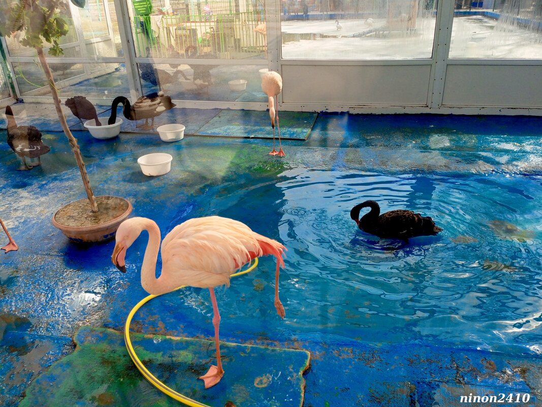 Ростов-на-Дону - Нина Бутко