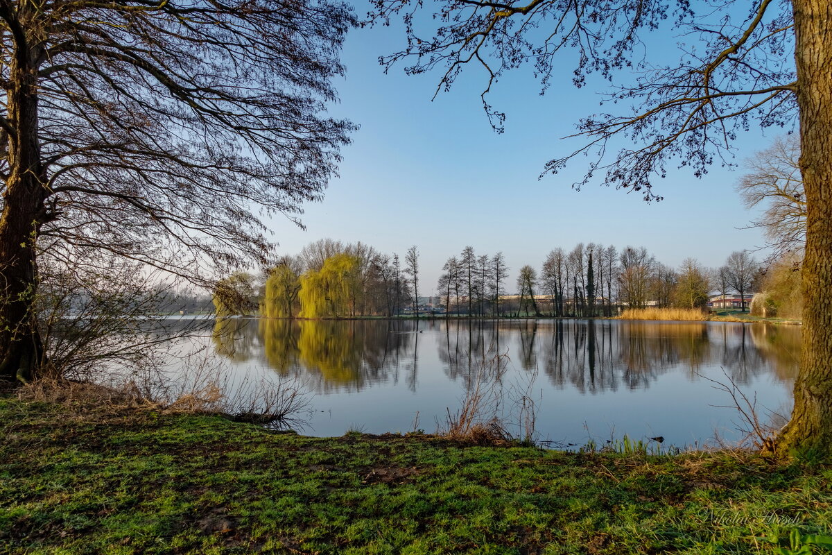 Меж двух деревьев... - Николай Гирш Меж двух деревьев... - Николай Гирш