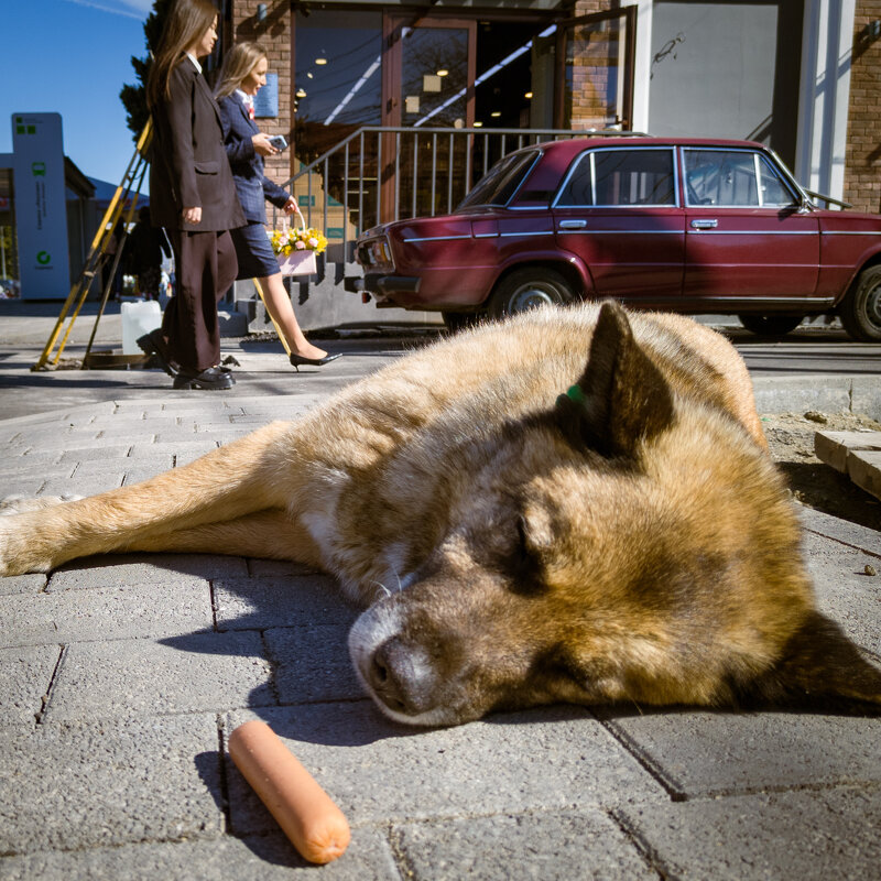 ** - Борис Руднев