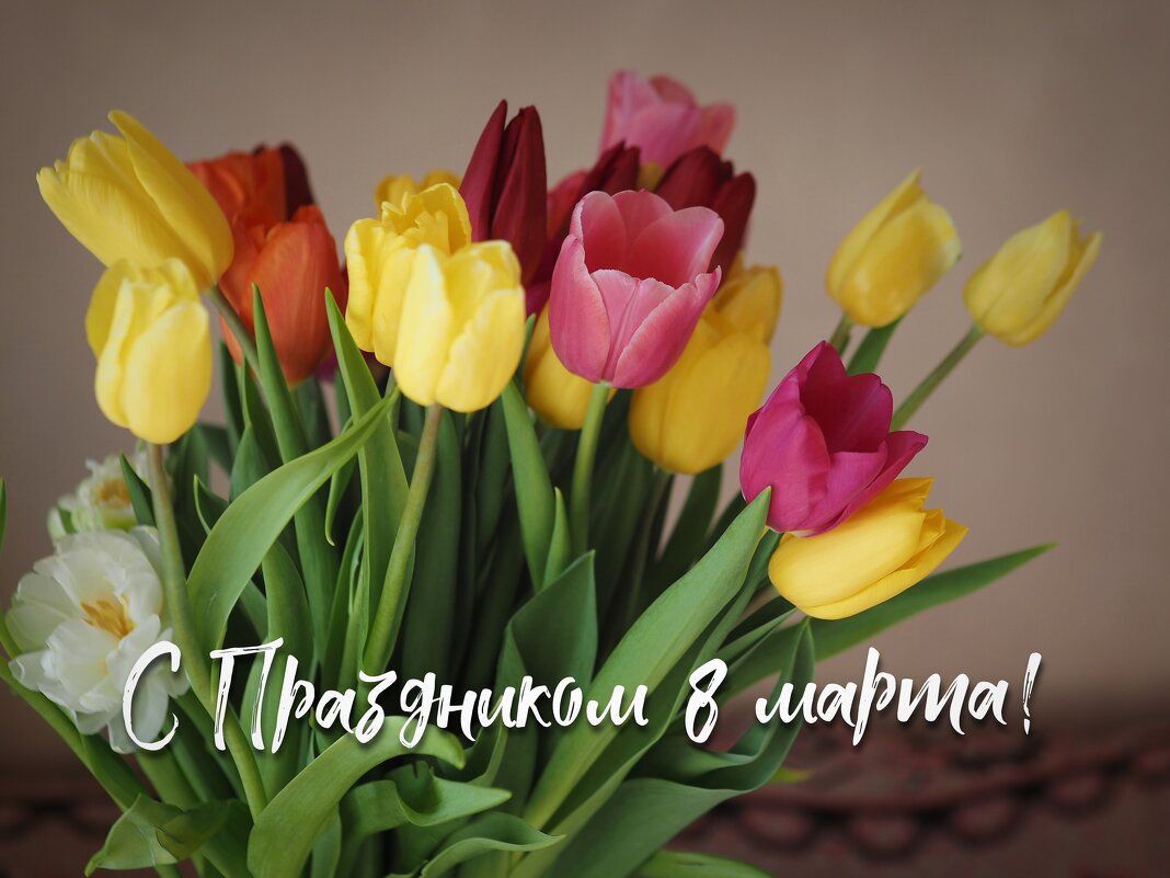 С Праздником, дорогие женщины! - Магомед . С Праздником, дорогие женщины! - Магомед .