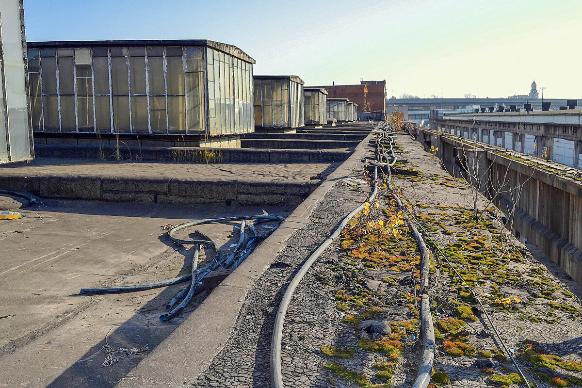 на крыше цеха - Сергей Лындин