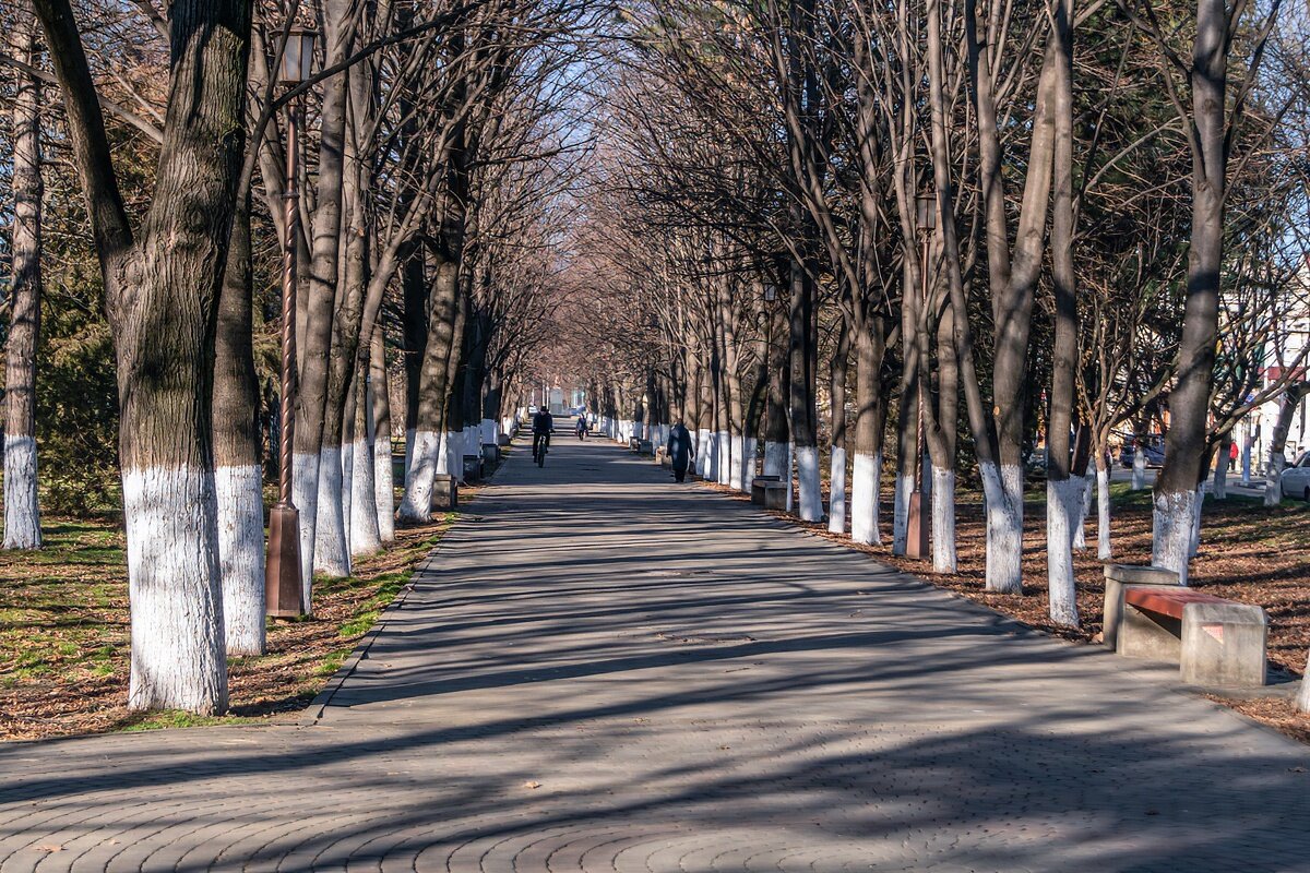 прогулка в теплый зимний день - Игорь Сикорский