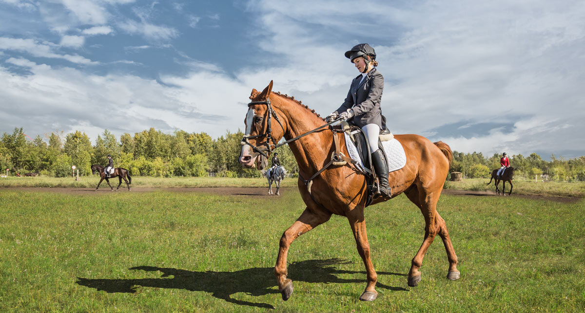 Всадница - SanSan 