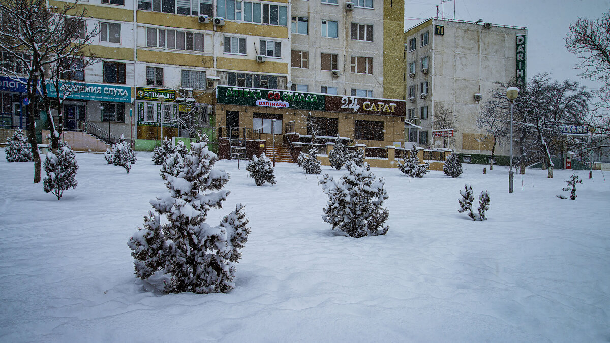71 дом - Анатолий Чикчирный