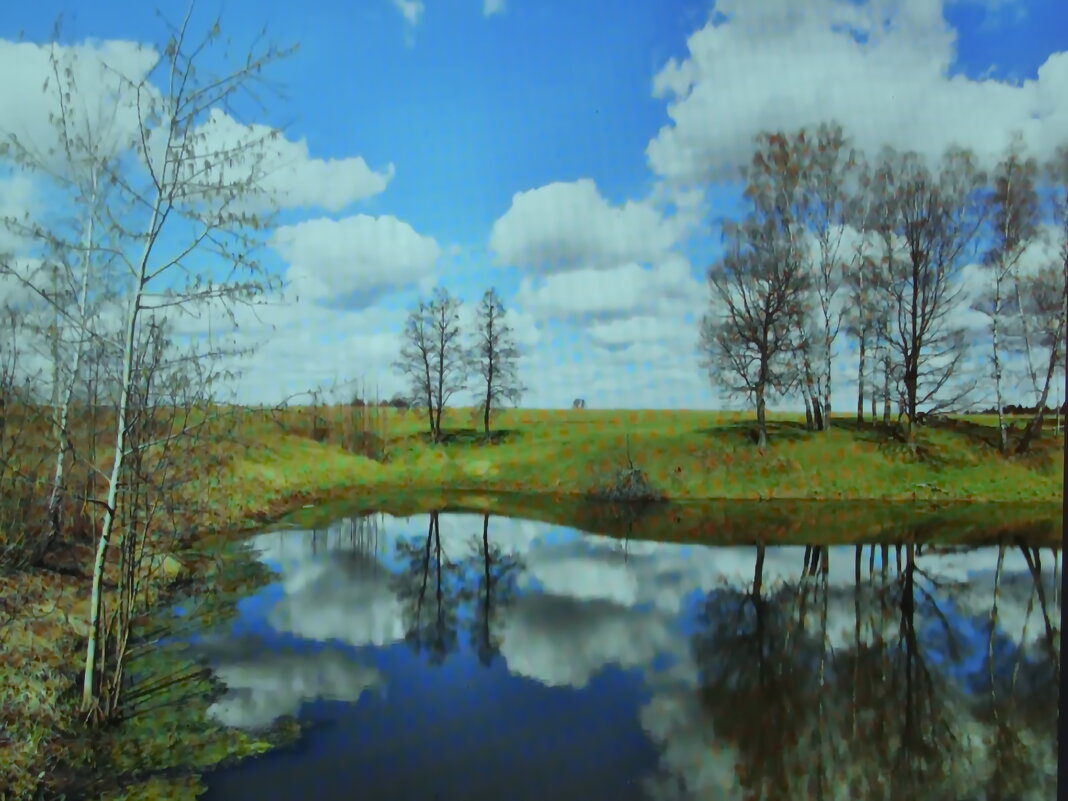 Красота весны - Людмила Смородинская
