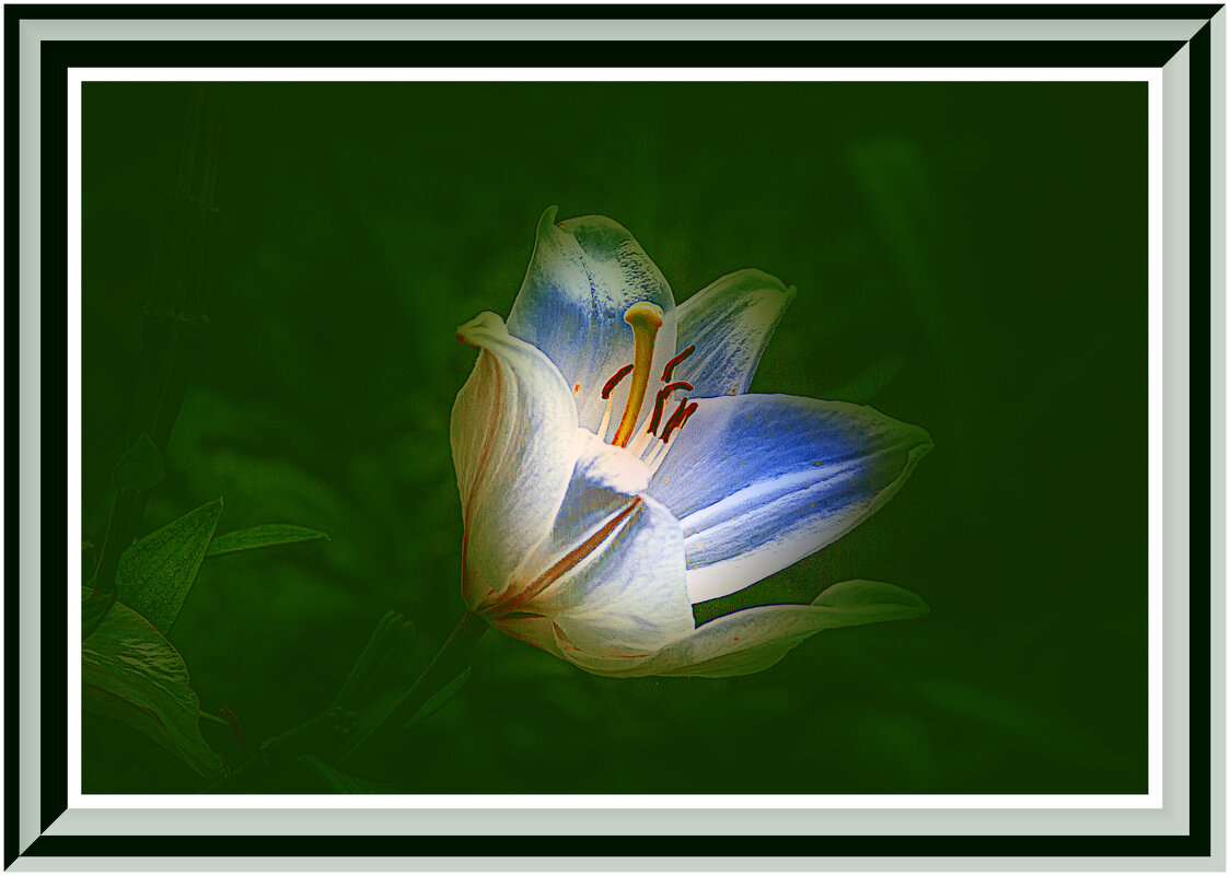 Летняя фотозарисовка - Владимир Кроливец Летняя фотозарисовка - Владимир Кроливец