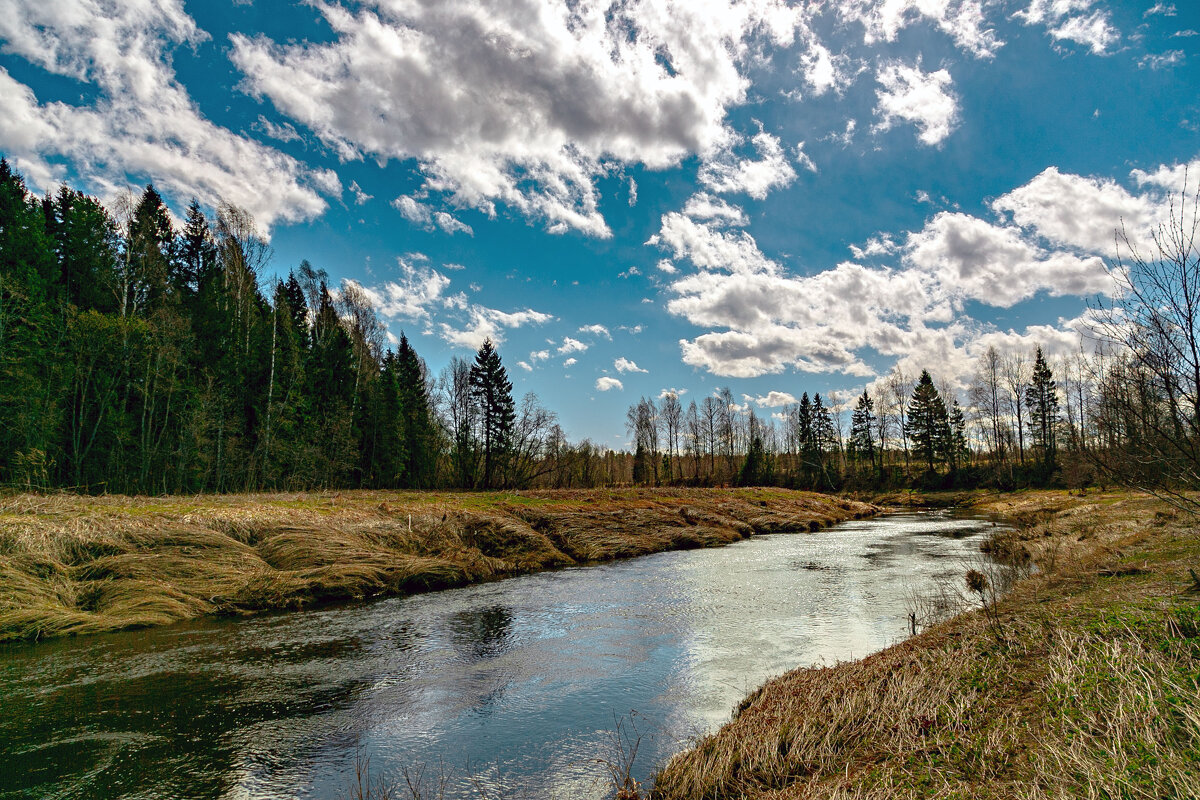 Май - Александр Силинский Май - Александр Силинский