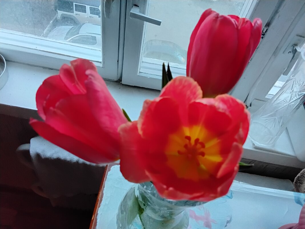 Три красных цветка - Дмитрий Никитин Три красных цветка - Дмитрий Никитин