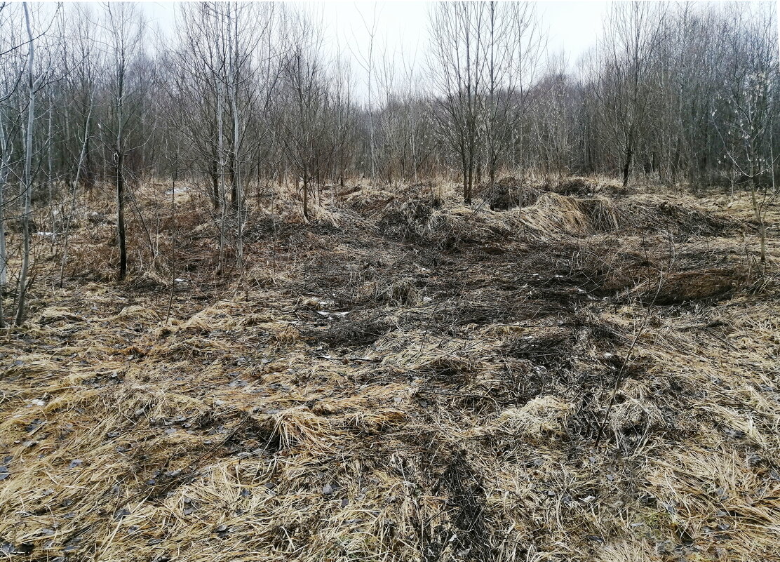 ВЧЕРА БЫЛА ОСЕНЬ - Юрий Вовк ВЧЕРА БЫЛА ОСЕНЬ - Юрий Вовк