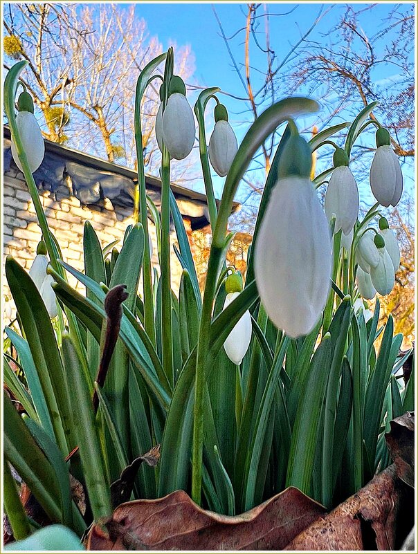 ВЕСНА, - Валерия Комова ВЕСНА, - Валерия Комова