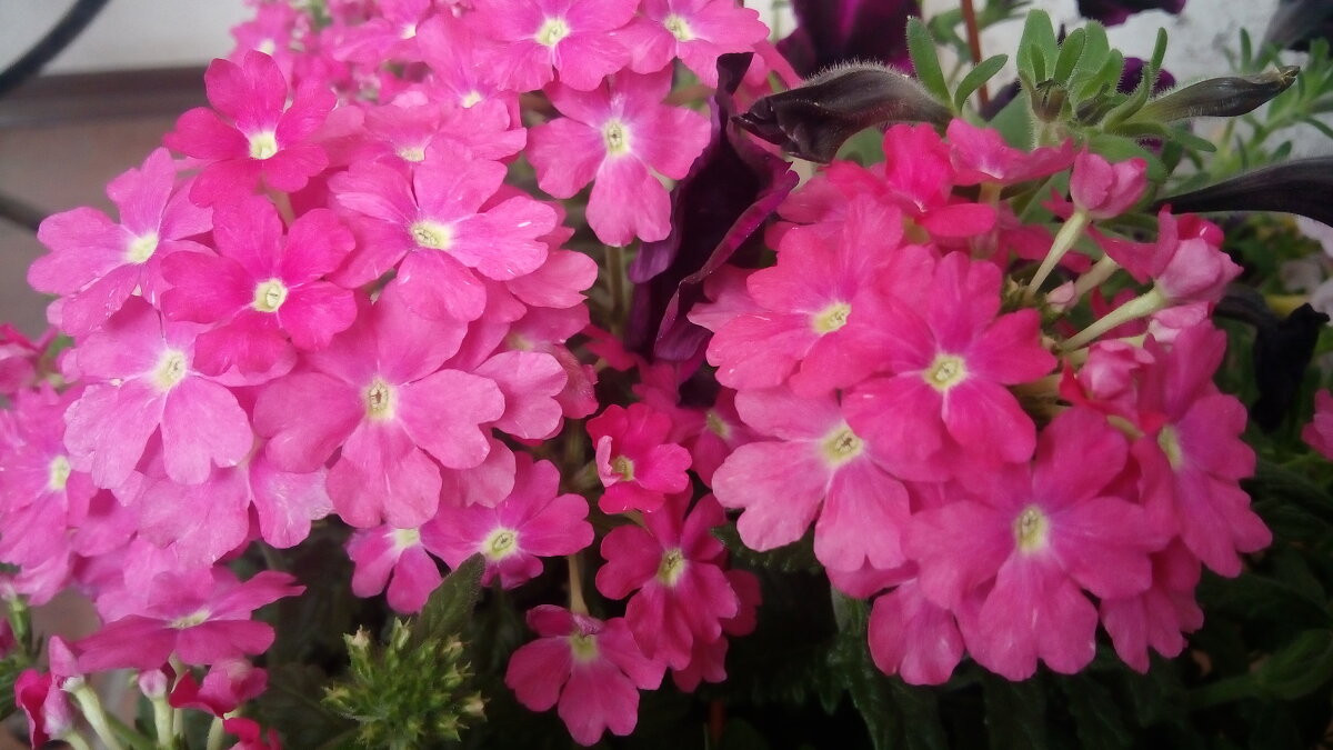 ,,, - Сергей Тимоновский