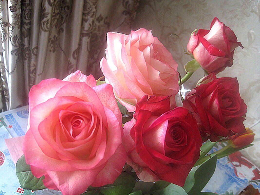 Букет из роз - Елена Семигина Букет из роз - Елена Семигина