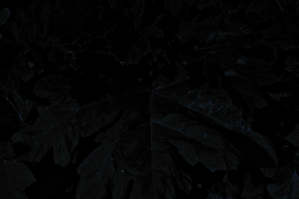 Название отсутствует - Денис Безногов