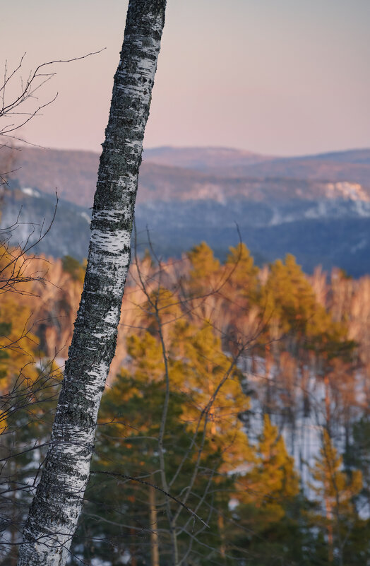 * - Александр Иванов