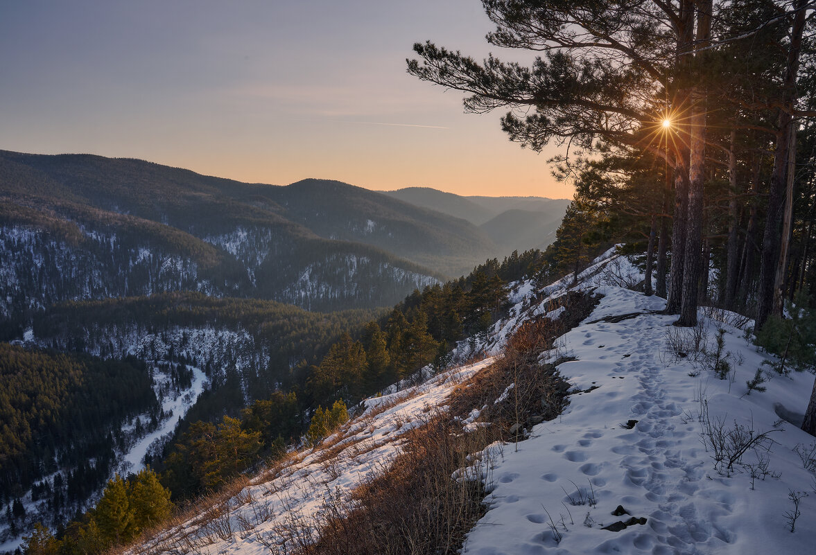 * - Александр Иванов * - Александр Иванов