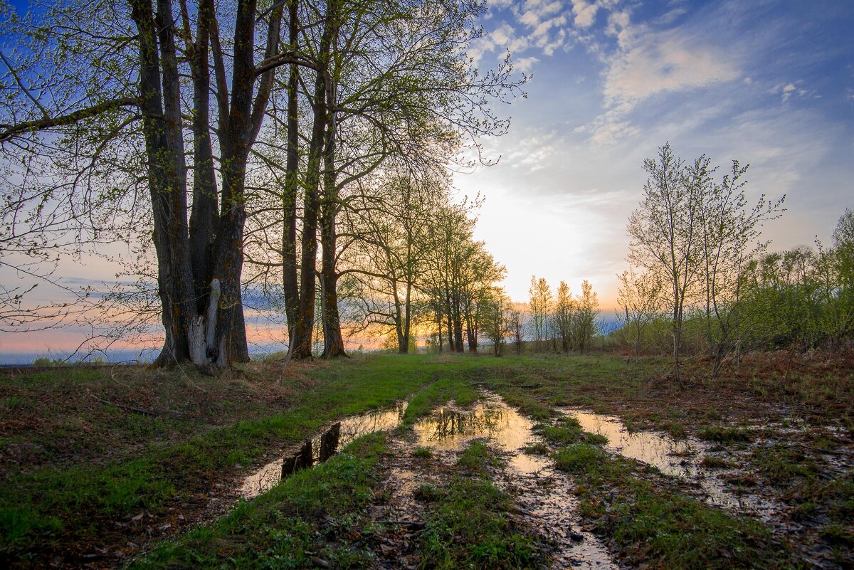 Лужа... - Влад Никишин